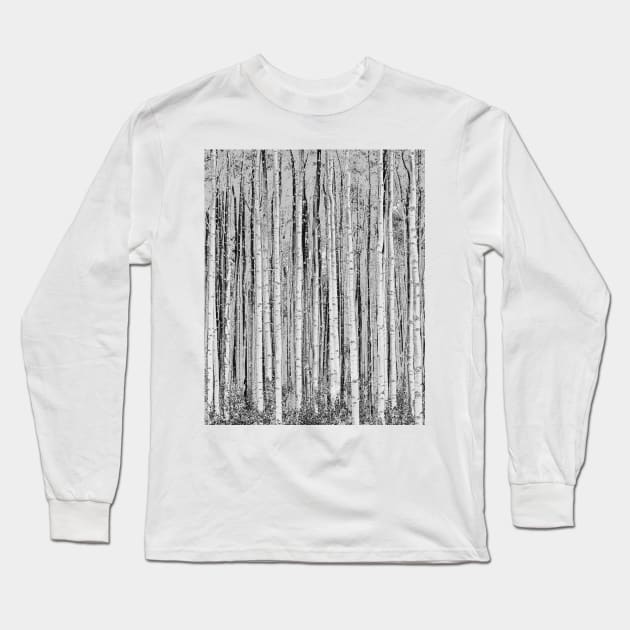 aspen lines Long Sleeve T-Shirt by pholange